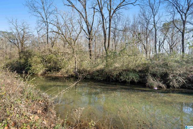 4667 TRUSSVILLE CLAY ROAD, Trussville, AL 35173