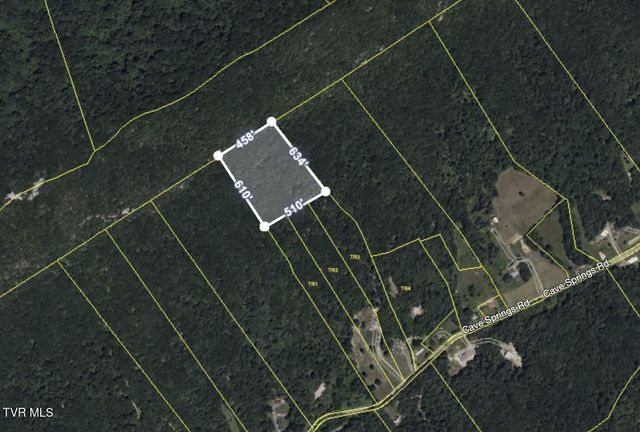 Tbd Cave Springs Road, Rogersville, TN 37857