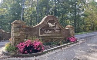 0 Abbott Mill Road, Ellijay, GA 30540