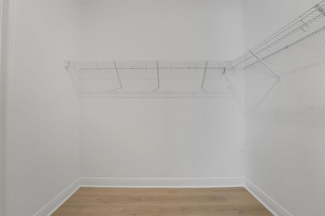 14354 CREST PALM AVENUE, Windermere, FL 34786