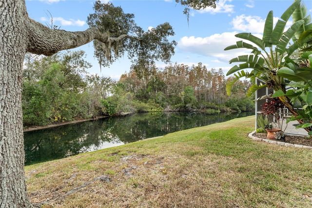 9909 KINGSHYRE WAY, Tampa, FL 33647