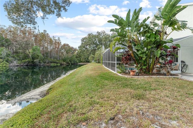 9909 KINGSHYRE WAY, Tampa, FL 33647