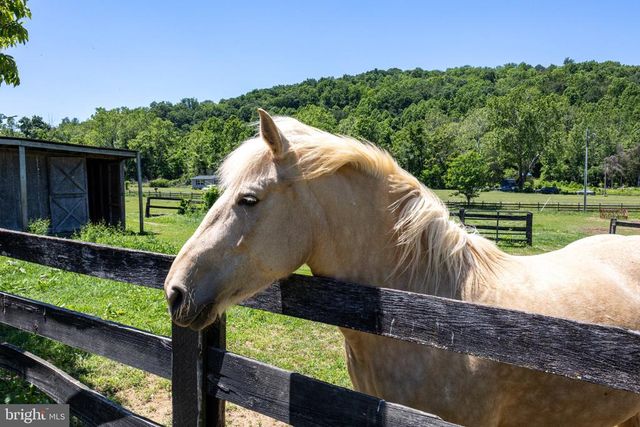 3257 IDA RD, Luray, VA 22835