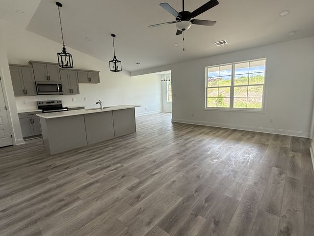 1166 Addler Dr, Springfield, TN 37172