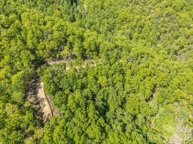 10.1 Acres on Old Fort Road, Fairview, NC 28730