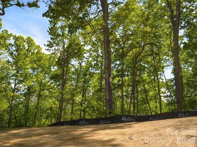10.1 Acres on Old Fort Road, Fairview, NC 28730