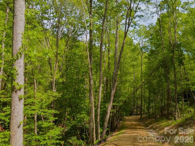 10.1 Acres on Old Fort Road, Fairview, NC 28730