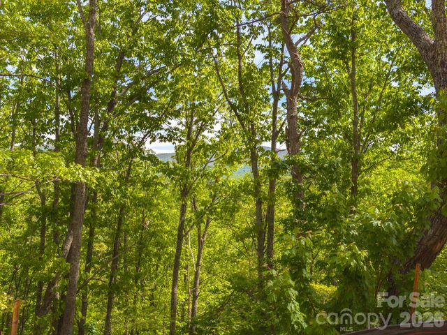 10.1 Acres on Old Fort Road, Fairview, NC 28730