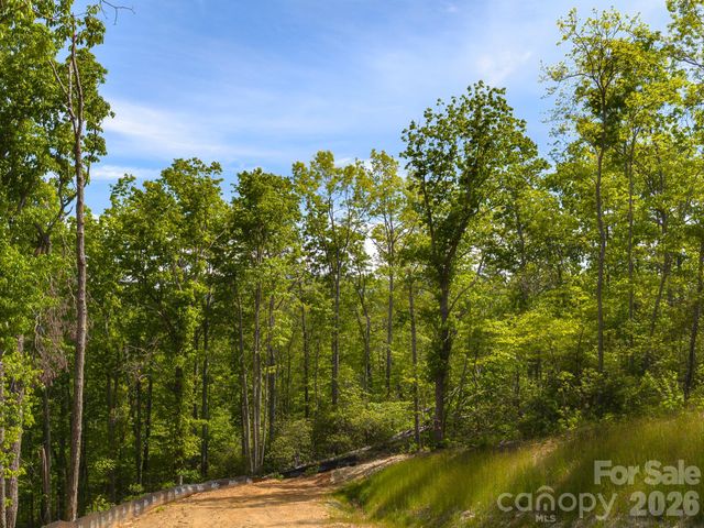 10.1 Acres on Old Fort Road, Fairview, NC 28730