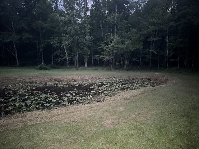 0 Lee Road 0179, Salem, AL 36874