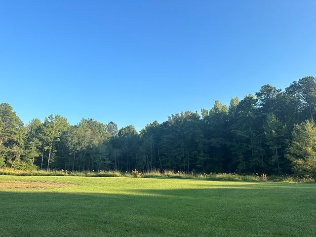 0 Lee Road 0179, Salem, AL 36874