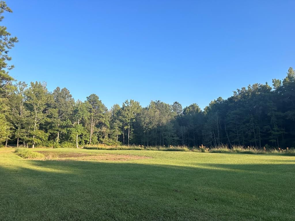 0 Lee Road 0179, Salem, AL 36874