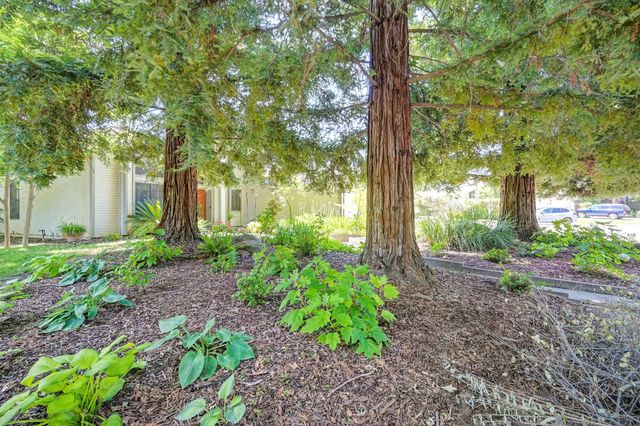 8530 Oak Harbour Ct, Fair Oaks, CA 95628