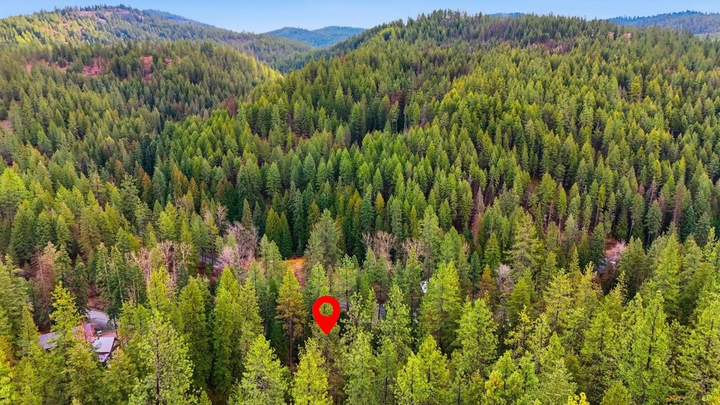 NKA N Mt Spokane Park Dr, Spokane, WA 99021 photo 12