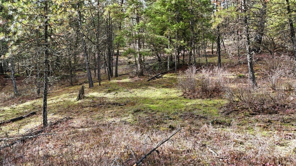 NKA N Mt Spokane Park Dr, Spokane, WA 99021 photo 3