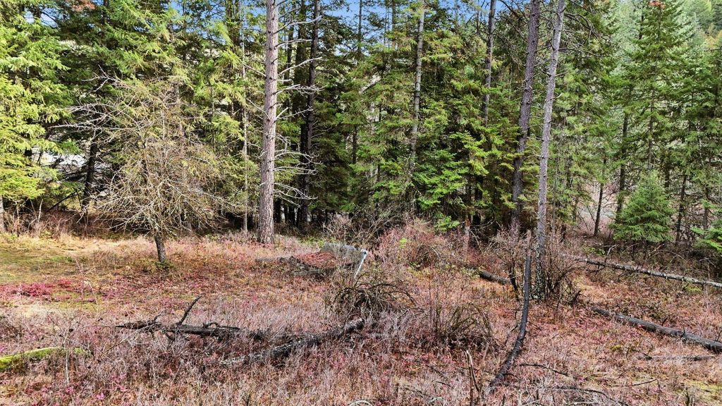 NKA N Mt Spokane Park Dr, Spokane, WA 99021 photo 4