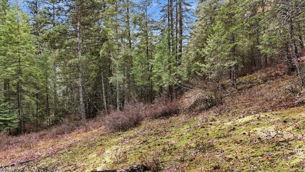 NKA N Mt Spokane Park Dr, Spokane, WA 99021 photo 5