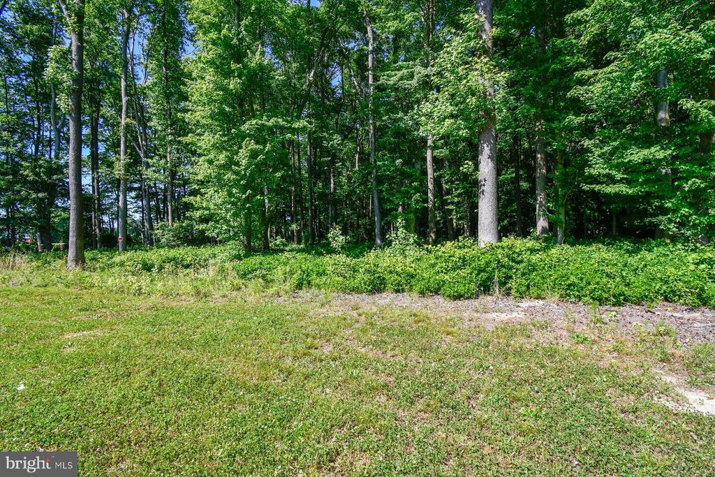 Image 48 of property listing at 11006 MUMFORD RD, Bishopville, MD 21813