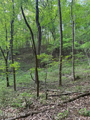 332 Padgett Mill Rd, Cosby, TN 37722