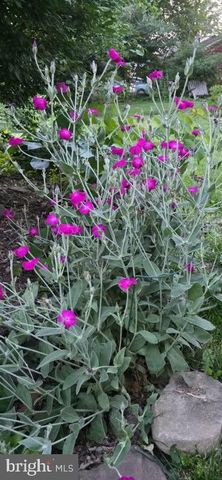 303 S MARKET ST, Mount Joy, PA 17552