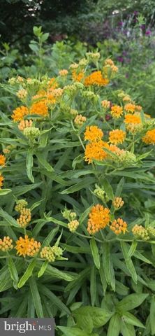 303 S MARKET ST, Mount Joy, PA 17552