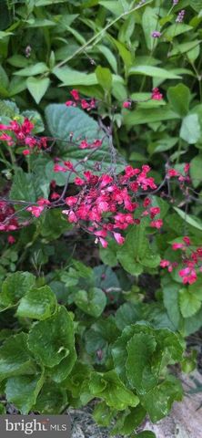 303 S MARKET ST, Mount Joy, PA 17552