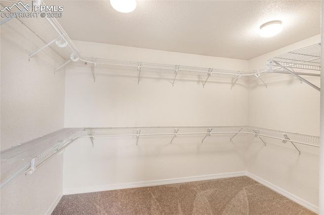 363 Gold Claim Terrace, Colorado Springs, CO 80905