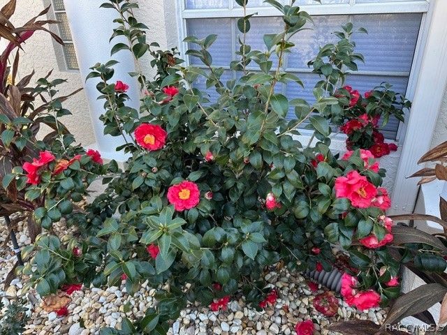 114 W Mickey Mantle Path, Hernando, FL 34442