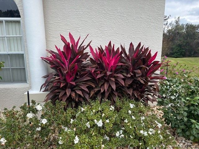 114 W Mickey Mantle Path, Hernando, FL 34442