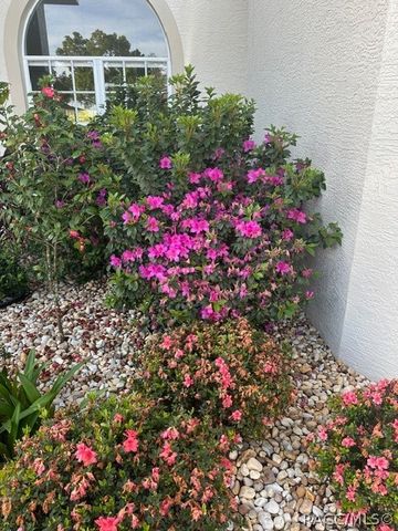 114 W Mickey Mantle Path, Hernando, FL 34442