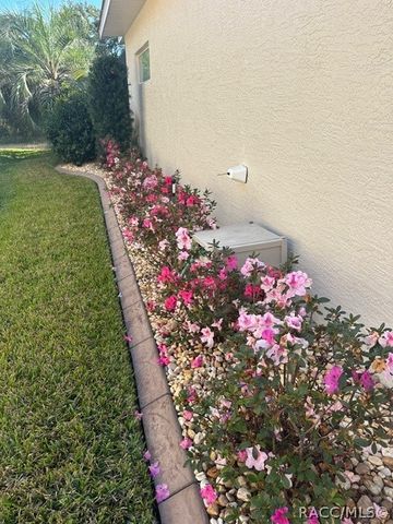 114 W Mickey Mantle Path, Hernando, FL 34442