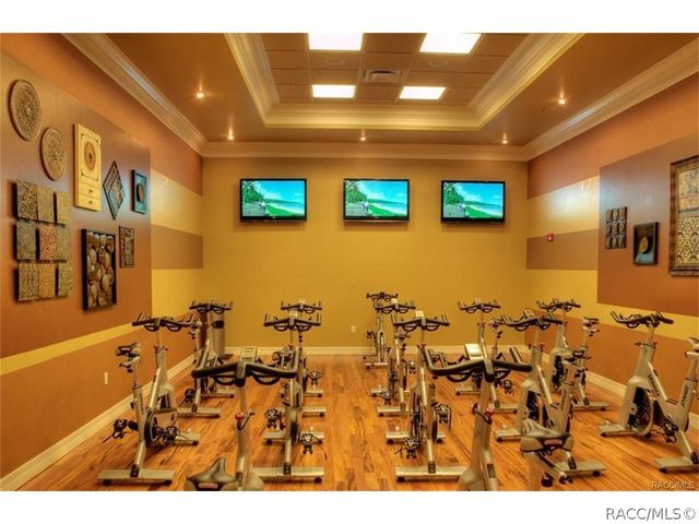 114 W Mickey Mantle Path, Hernando, FL 34442