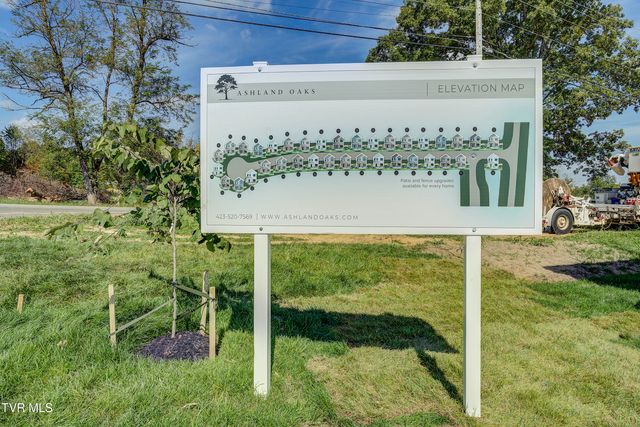 4196 Gambrel Oaks Street, Blountville, TN 37617