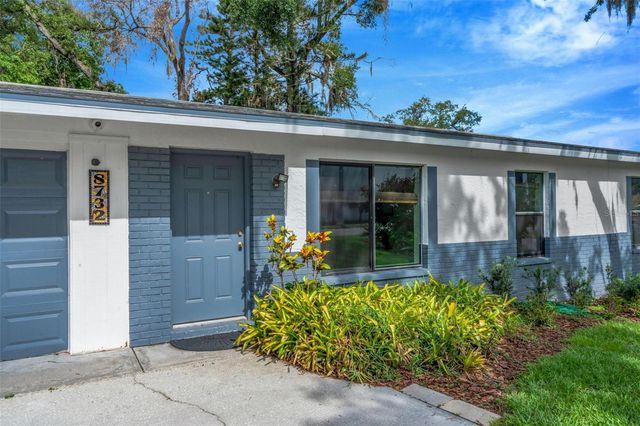 8732 OVERLOOK DRIVE, Tampa, FL 33617