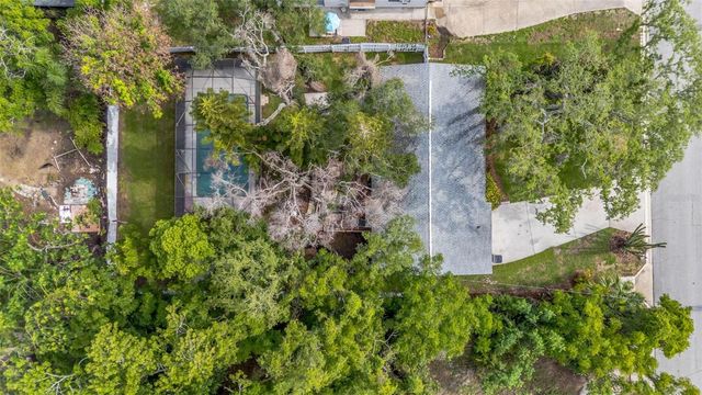 8732 OVERLOOK DRIVE, Tampa, FL 33617
