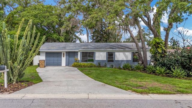 8732 OVERLOOK DRIVE, Tampa, FL 33617