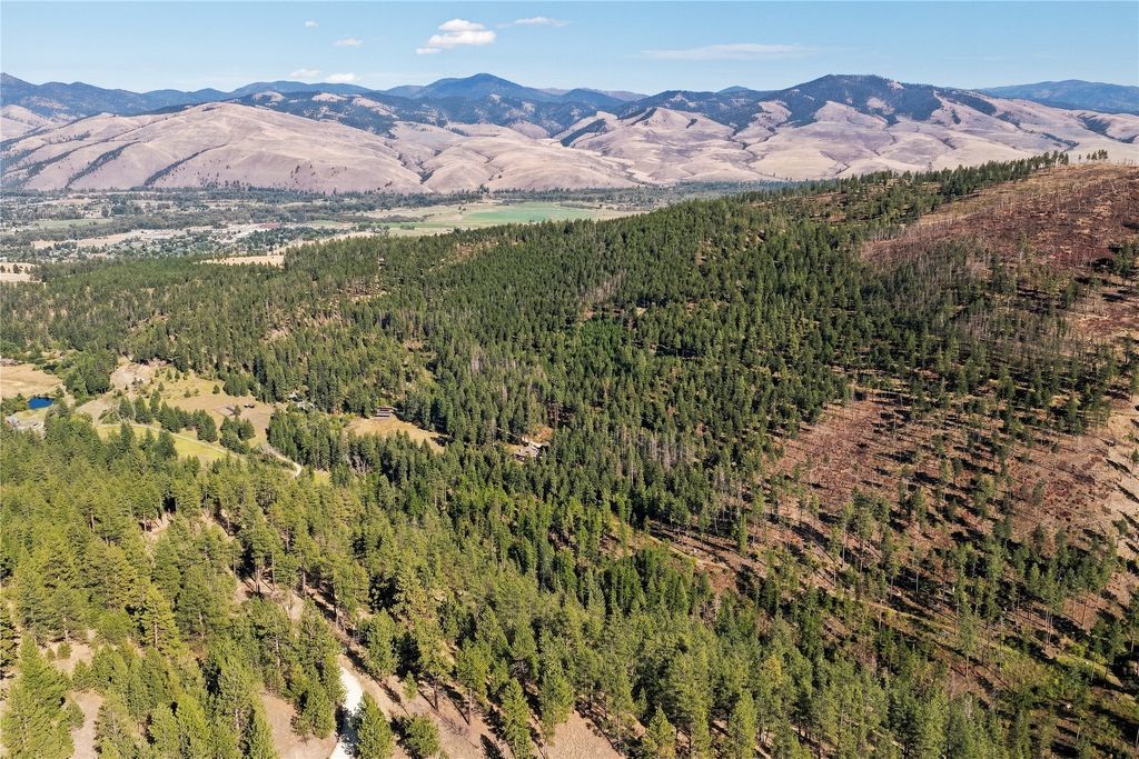 14605 Mormon Creek Road, Lolo, MT 59847 photo 3