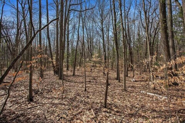 11467 156th Avenue, West Olive, MI 49460