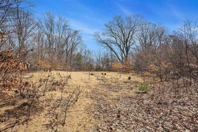 11467 156th Avenue, West Olive, MI 49460