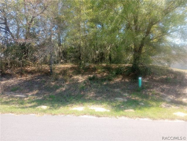 917 Bennington, Inverness, FL 34453