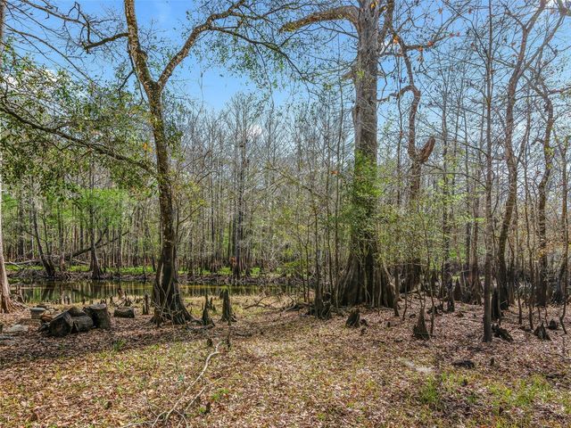 8935 CR 647S, Bushnell, FL 33513