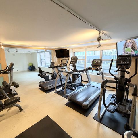 777 N Michigan Avenue 3102, Chicago, IL 60611