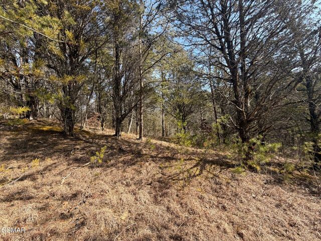 Lot 3 Kellum Creek Road, Sevierville, TN 37876