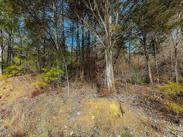 Lot 3 Kellum Creek Road, Sevierville, TN 37876