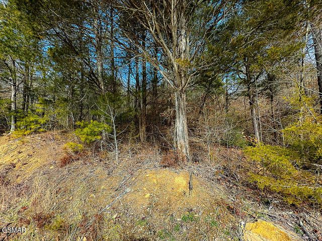 Lot 3 Kellum Creek Road, Sevierville, TN 37876