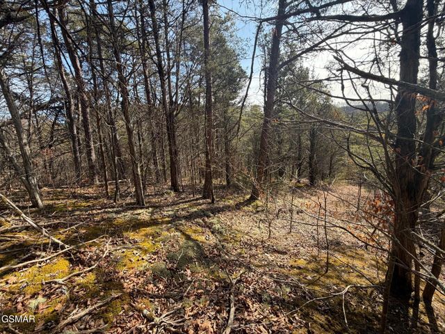 Lot 3 Kellum Creek Road, Sevierville, TN 37876