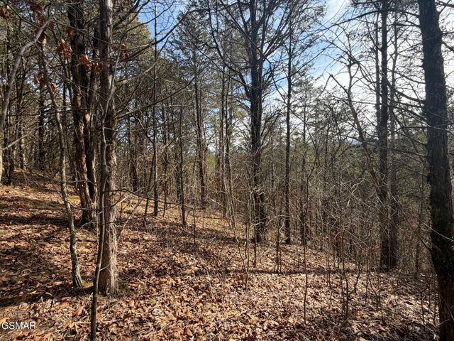 Lot 3 Kellum Creek Road, Sevierville, TN 37876