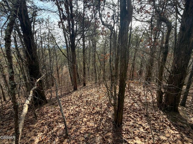 Lot 3 Kellum Creek Road, Sevierville, TN 37876