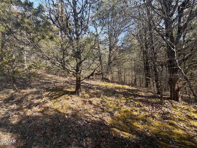 Lot 3 Kellum Creek Road, Sevierville, TN 37876