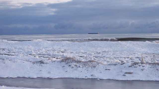 7262 Lakeshore Road, Lakeport, MI 48059